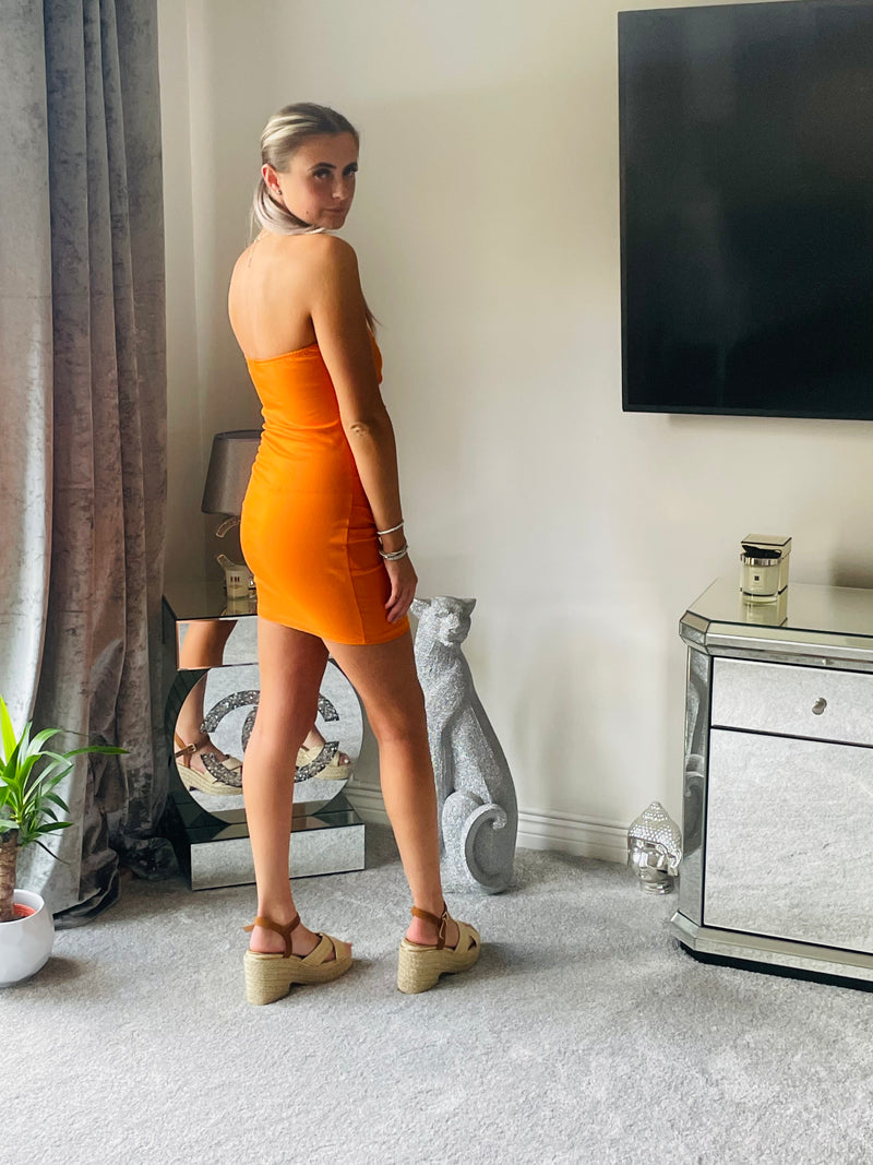 Ruche style bodycon dress